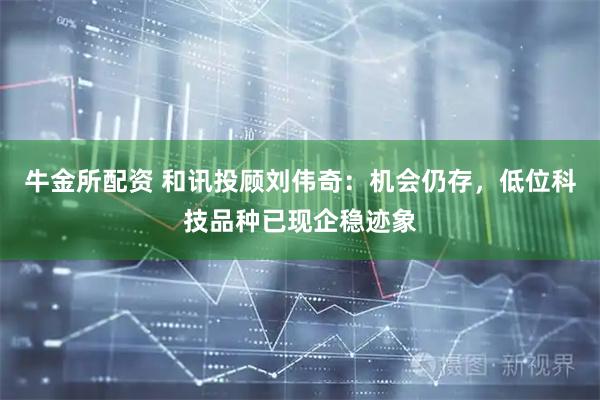 牛金所配资 和讯投顾刘伟奇：机会仍存，低位科技品种已现企稳迹象