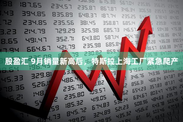 股盈汇 9月销量新高后,特斯拉上海工厂紧急爬产