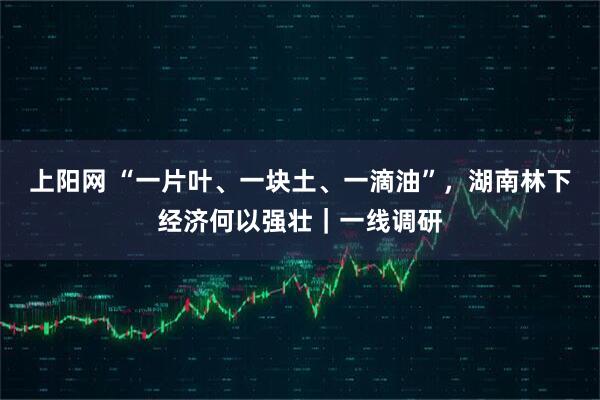 上阳网 “一片叶、一块土、一滴油”,湖南林下经济何以强壮|一线调研