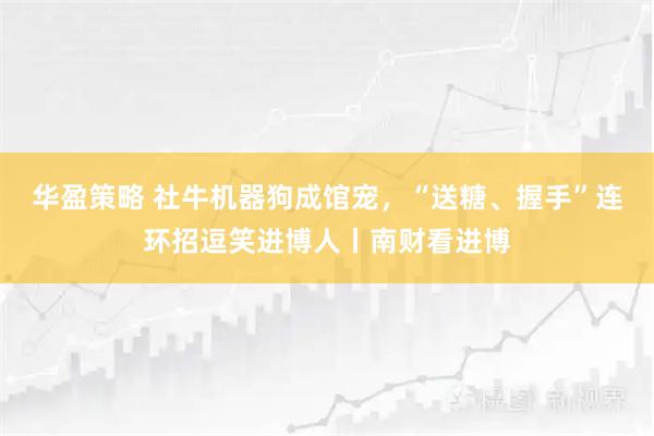 华盈策略 社牛机器狗成馆宠,“送糖、握手”连环招逗笑进博人丨南财看进博