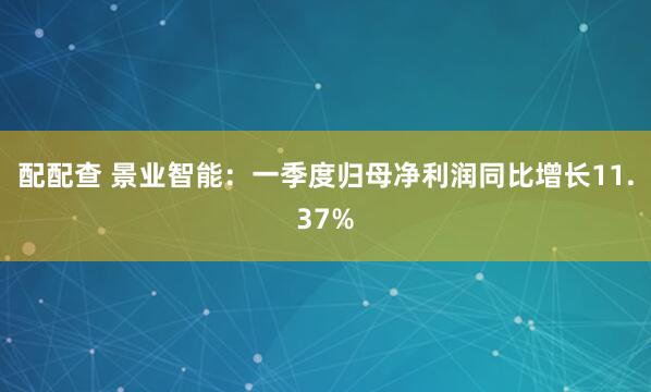 配配查 景业智能：一季度归母净利润同比增长11.37%