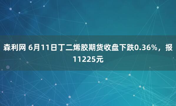 森利网 6月11日丁二烯胶期货收盘下跌0.36%，报11225元