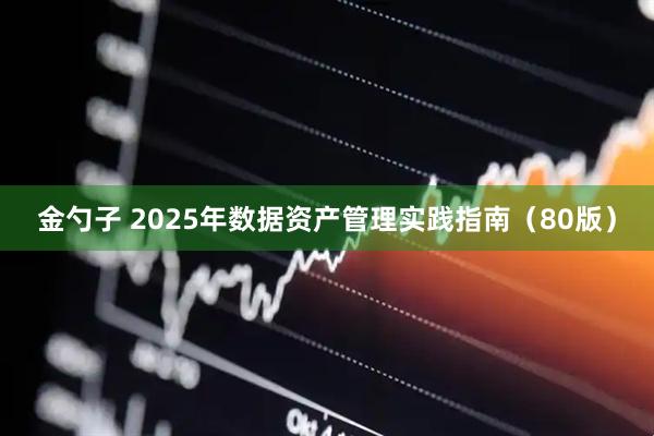 金勺子 2025年数据资产管理实践指南（80版）