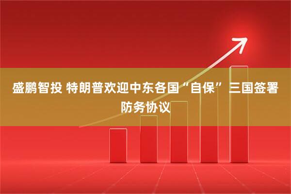 盛鹏智投 特朗普欢迎中东各国“自保” 三国签署防务协议